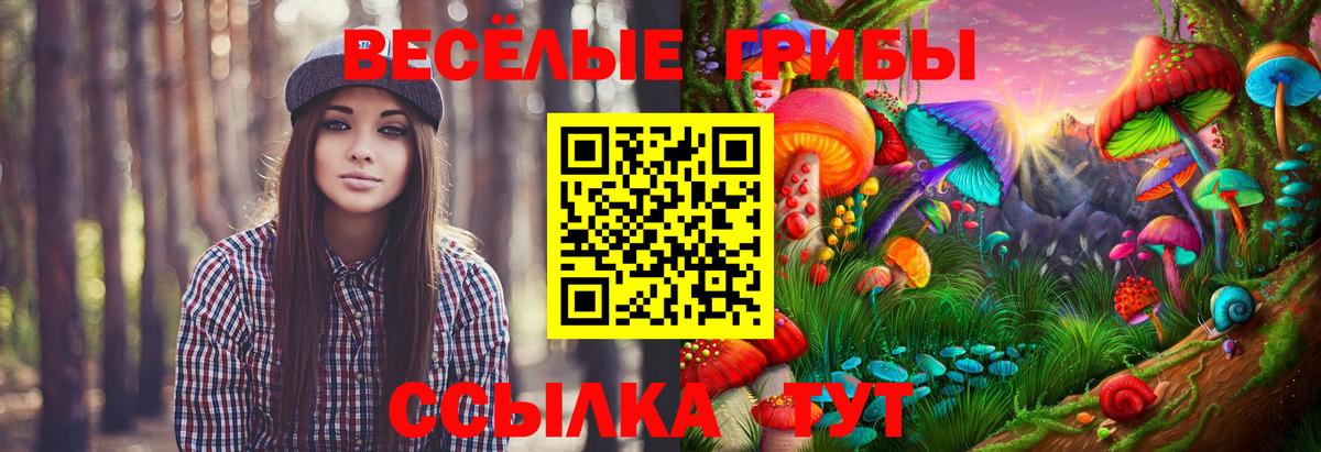 Псилоцибиновые грибы Psilocybe  Вход с VPN  Великие Луки 