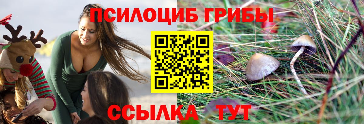 Псилоцибиновые грибы прущие грибы Великие Луки
